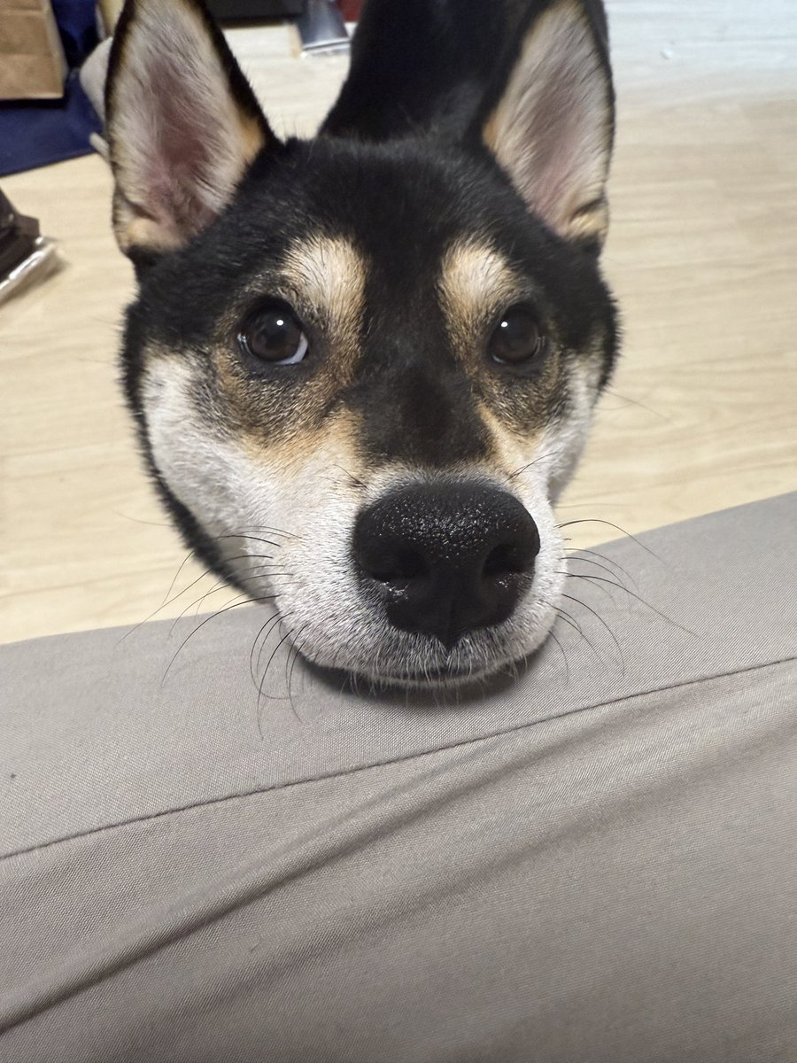 桶狭間 tweet media