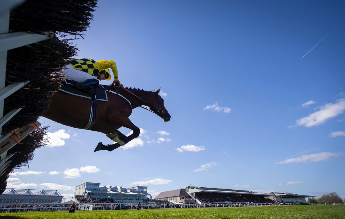 Jerry McGrath (@jerrymcgrath) on Twitter photo ⭐️ Grade 1 Winner ⭐️
🟡⚫️ Lulamba ⚫️🟡
Wins Ballymore Champion Four Year Old Hurdle <a href="/punchestownrace/">Punchestown</a>
Congratulations to the Donnelly Family • <a href="/sevenbarrows/">Nicky Henderson</a> • <a href="/james_bowen_/">James Bowen</a>
Private Purchase with <a href="/JonesToby86/">Toby Jones</a> from A Chaille-Chaille
📸 - <a href="/HRIRacing/">Horse Racing Ireland</a> ⭐️ Grade 1 Winner ⭐️
🟡⚫️ Lulamba ⚫️🟡
Wins Ballymore Champion Four Year Old Hurdle <a href="/punchestownrace/">Punchestown</a>
Congratulations to the Donnelly Family • <a href="/sevenbarrows/">Nicky Henderson</a> • <a href="/james_bowen_/">James Bowen</a>
Private Purchase with <a href="/JonesToby86/">Toby Jones</a> from A Chaille-Chaille
📸 - <a href="/HRIRacing/">Horse Racing Ireland</a>