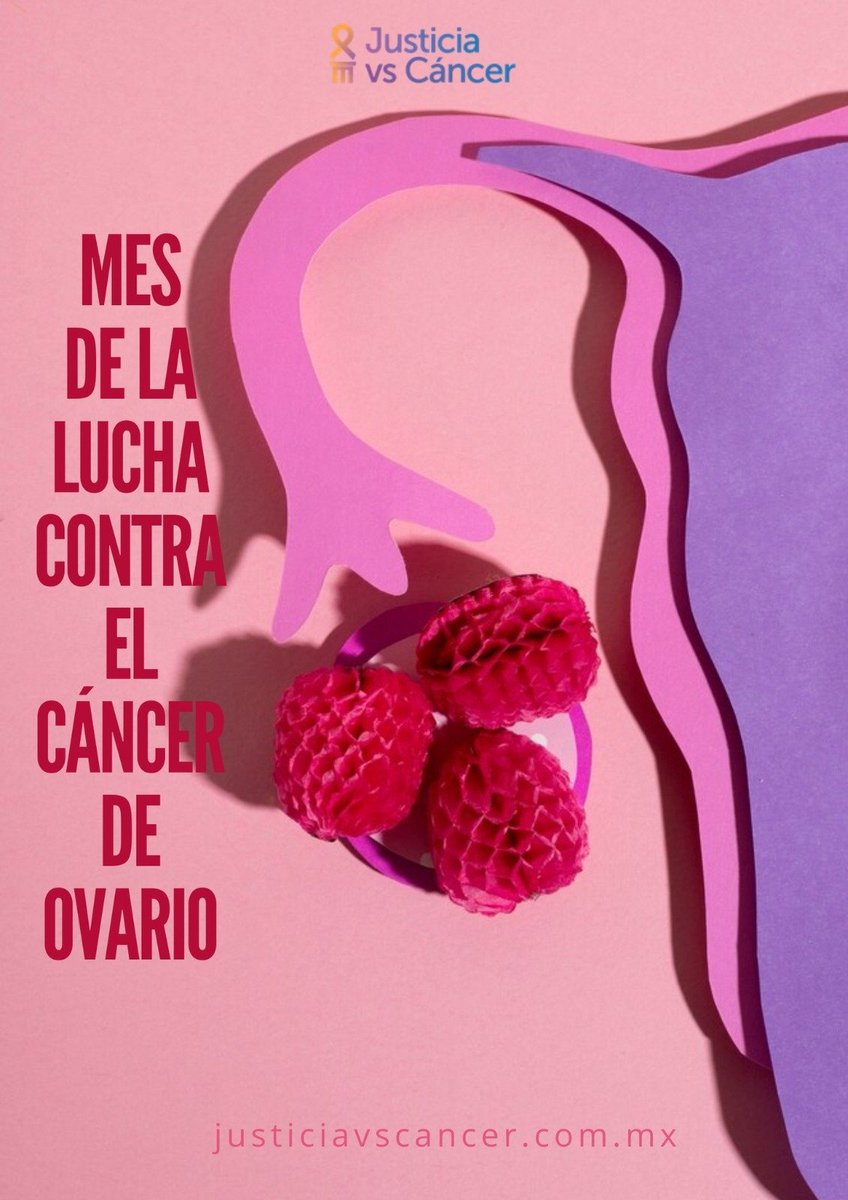 JusticiavsC's tweet photo. En México el cáncer de ovario afecta a cientos de mujeres, siendo responsable de 140,000 muertes anuales.

Para luchar contra esta realidad, hemos desarrollado una herramienta que garantiza que ninguna persona con cáncer se quede sin sus tratamientos 🩵

📲https://t.co/F78r7DwmzS https://t.co/tYwHkTatZW