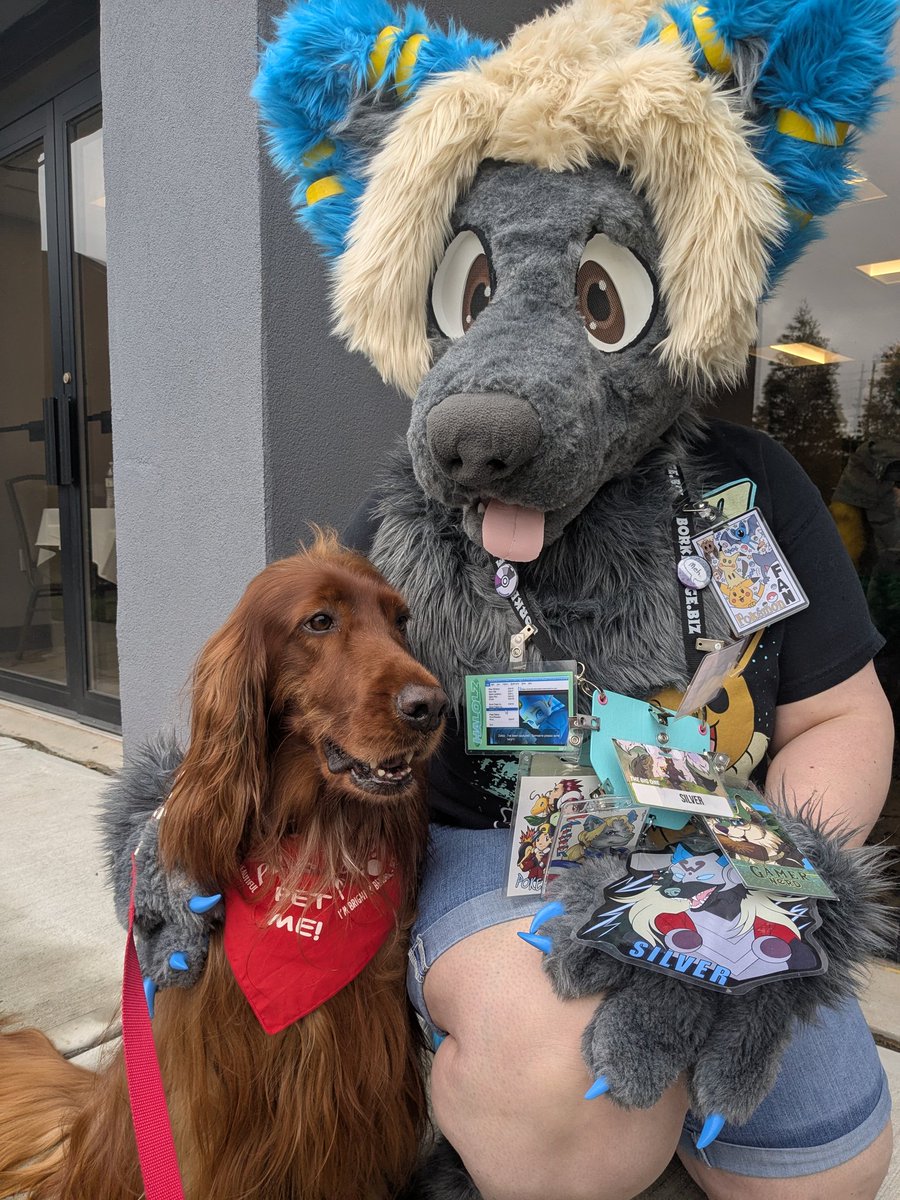 Wanna thank <a href="/PSFurmeets/">PawsoulsFurmeets</a> for hosting #TBO this weekend!! I had so much fun (over 140 fuzzies attended)
We would also thank <a href="/TherapyDogFlan/">Flannery the Library Dog📚🐾</a> for coming up on Sunday for a bit!
