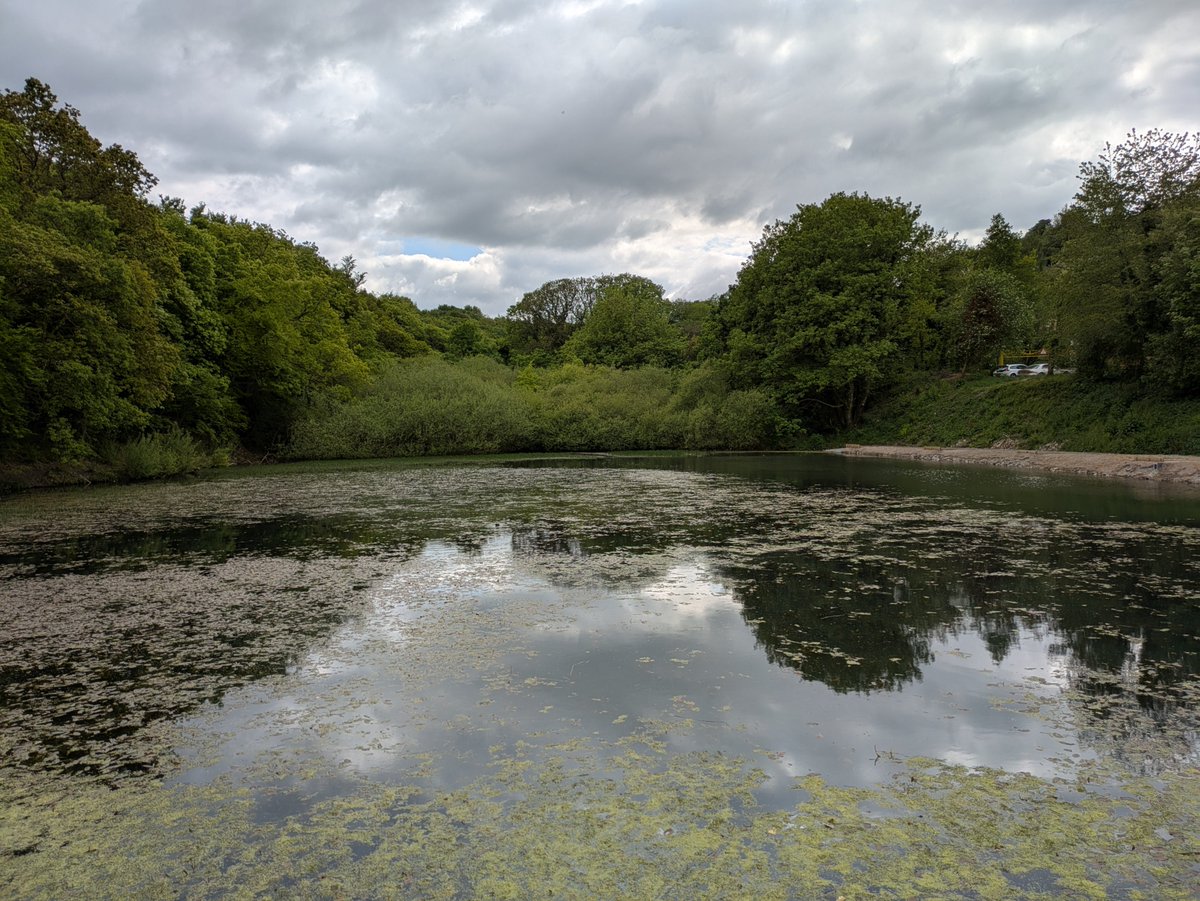 The 94th Minute ๐ด๓ ง๓ ข๓ ท๓ ฌ๓ ณ๓ ฟ (@the94thmin) on Twitter photo Always enjoyable to have a wander around the nearby <a href="/greenfieldvally/">Greenfield Valley</a> on a Bank Holiday Monday.
<a href="/visitwales/">Visit Wales ๐ด๓ ง๓ ข๓ ท๓ ฌ๓ ณ๓ ฟ</a> <a href="/tourism_fcc/">Archwilio Sir y Fflint | Explore Flintshire</a> <a href="/cadwwales/">Cadw</a>
#The94thMin #northwales #flintshire #VisitFlintshire #northeastwales Always enjoyable to have a wander around the nearby <a href="/greenfieldvally/">Greenfield Valley</a> on a Bank Holiday Monday.
<a href="/visitwales/">Visit Wales ๐ด๓ ง๓ ข๓ ท๓ ฌ๓ ณ๓ ฟ</a> <a href="/tourism_fcc/">Archwilio Sir y Fflint | Explore Flintshire</a> <a href="/cadwwales/">Cadw</a>
#The94thMin #northwales #flintshire #VisitFlintshire #northeastwales