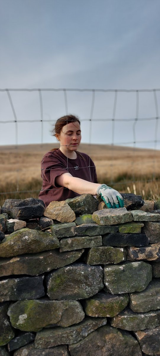 Lancashire Museums (@lancsmuseums) on Twitter photo "Empowering Women: Champions of Upland Farming"
7 June - 31 August, Steward's Gallery #ClitheroeCastle
A celebration of the pivotal role women play in the success of family farms in the remote uplands of the Forest of Bowland. Curated by <a href="/forestofbowland/">Forest of Bowland National Landscape</a>
events.apps.lancashire.gov.uk/w/webpage/even… "Empowering Women: Champions of Upland Farming"
7 June - 31 August, Steward's Gallery #ClitheroeCastle
A celebration of the pivotal role women play in the success of family farms in the remote uplands of the Forest of Bowland. Curated by <a href="/forestofbowland/">Forest of Bowland National Landscape</a>
events.apps.lancashire.gov.uk/w/webpage/even…