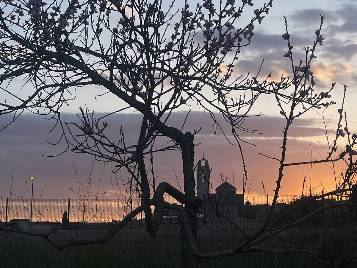 MeteoMoià tweet media