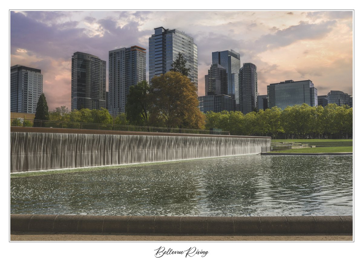 Bellevue Rising 
The image features a Bellevue, WA cityscape with modern architecture with a morning glow. In the foreground, a waterfall cascades into a lower pond, creating a serene and reflective surface.
-
#bellevueWA #seattlearchitecture #louisruth