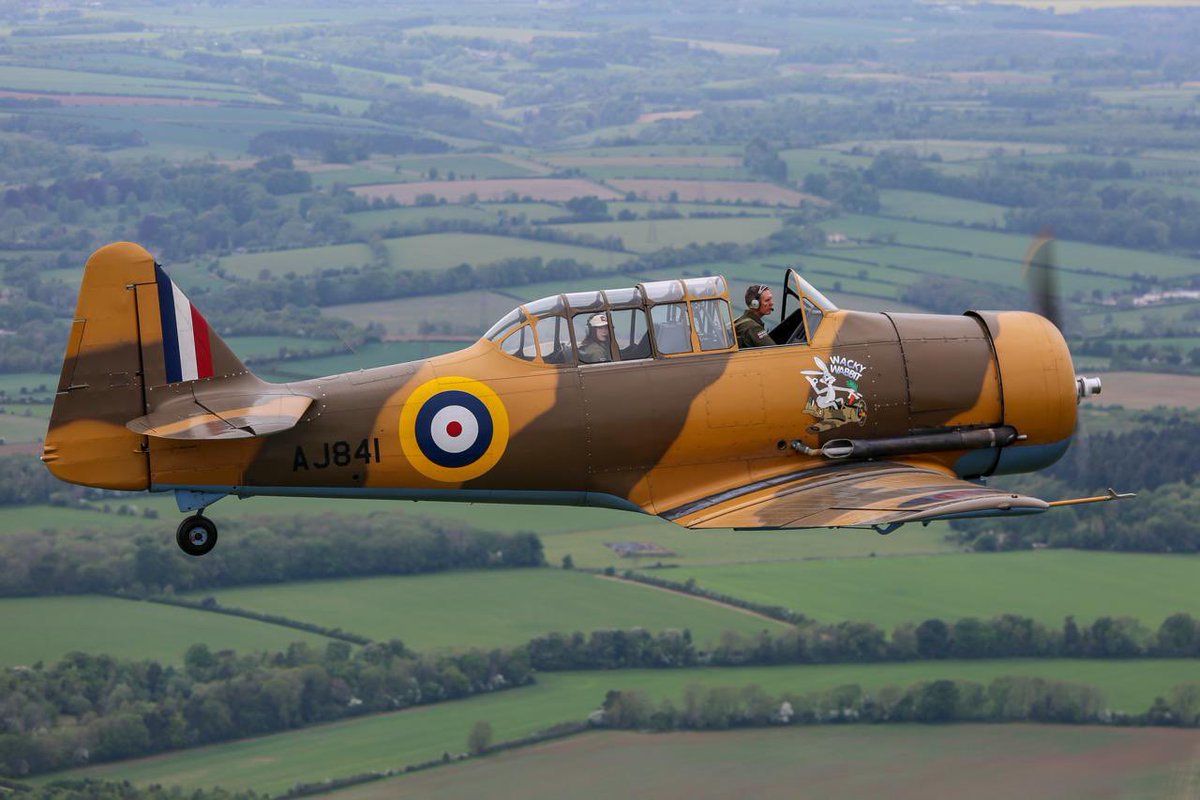 Had the opportunity to fly the #harvard #wackywabbit last Saturday ...