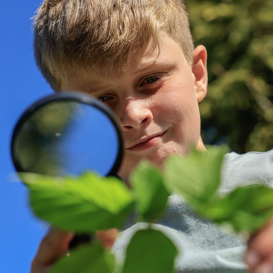 Join us for our Nature Discovery Day on Monday 26 May 2025 and learn about the New Forest’s special wildlife with our free activities during the day! 🌳🐦

Find out more: forestryengland.uk/forest-event/e…

#NewForest #NatureDiscoveryDay