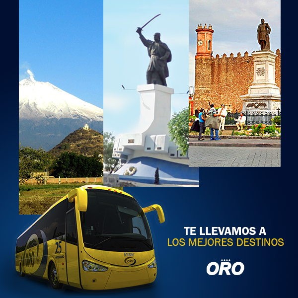 #OroTeConecta con los mejores destinos. Te llevamos cómodo y seguro a Atlixco, Cuernavaca, Puebla, Cuautla y más.
Descubre horarios y precios en 222 450 6605, arma tus maletas y viaja son contratiempos. 

#ViajaSeguro #SeguroConOro #ElPlacerDeViajar