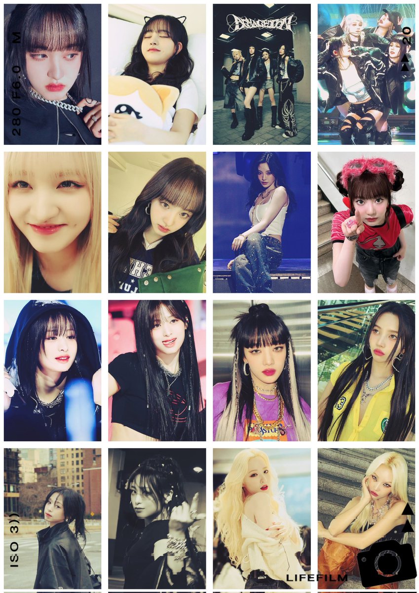 🐱하루ハル🐱 tweet media