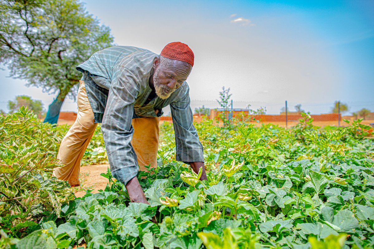 OCHA Mali tweet media