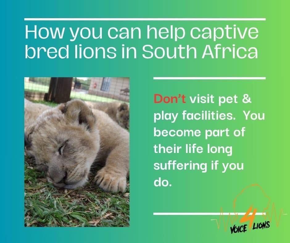 LindaPa60824893's tweet photo. Be part of the solution not the problem! 
#saynotointeraction https://t.co/DhT7ZOffy7