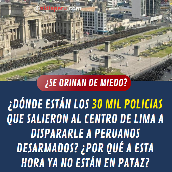 aldiaperu.pe tweet media