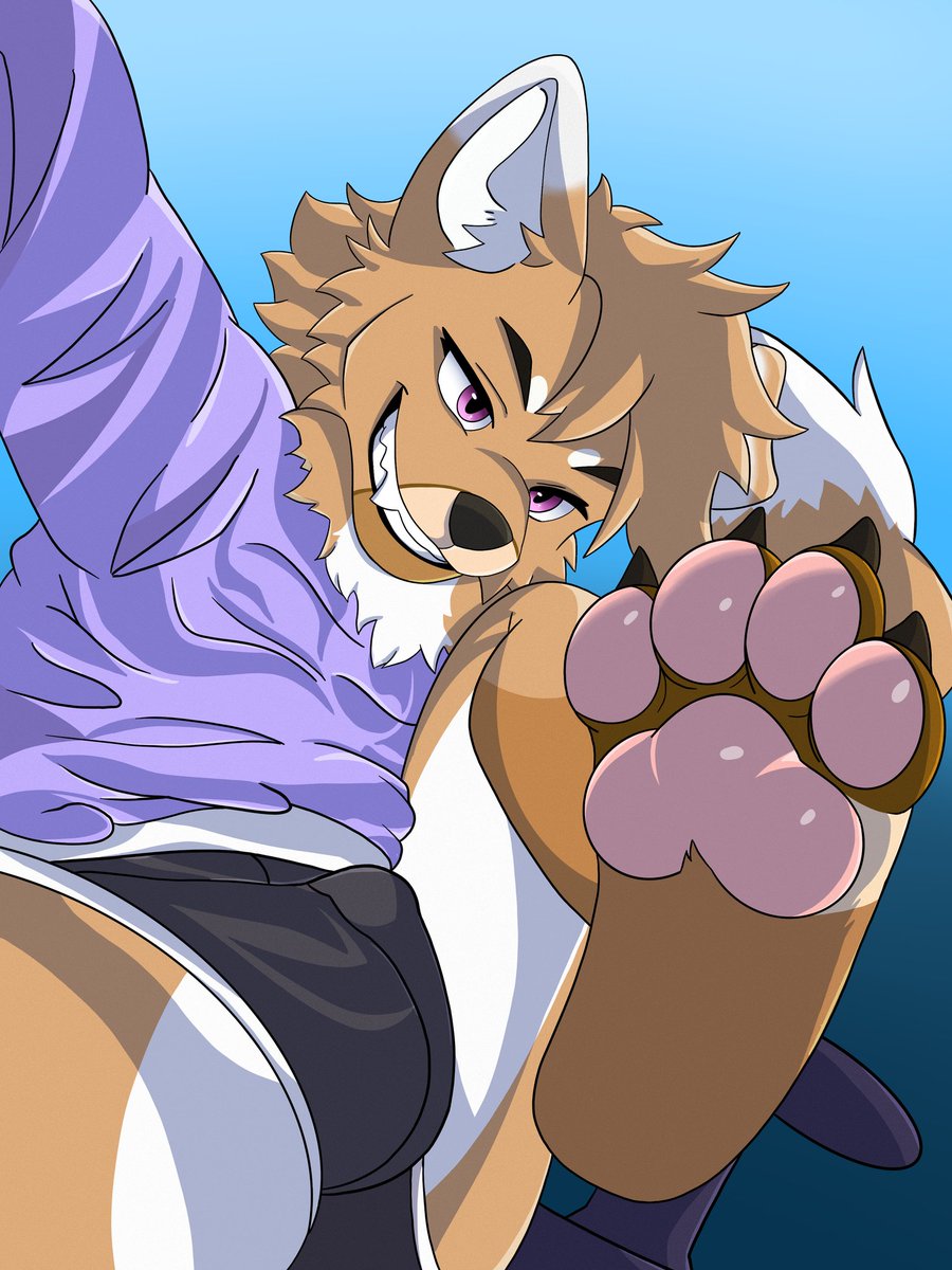 wolfebutt35's tweet image. Pawb beans ft @SmoreDoggy