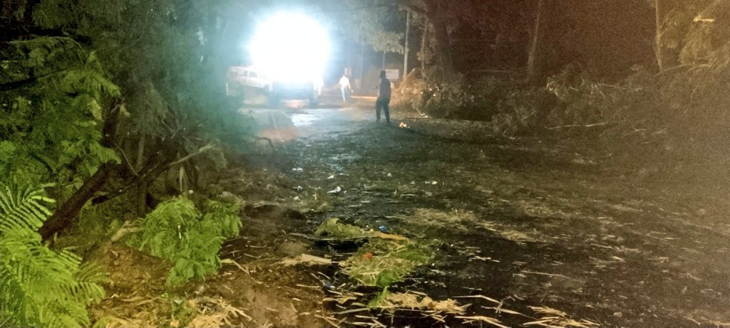 ભારે પવન ને કારણે  જેસાવાડા દાહોદ રોડ પર પડેલ વૃક્ષો દૂર કરવાની કામગીરી શરૂ કરવામાં આવી. <a href="/CMOGuj/">CMO Gujarat</a> <a href="/revenuegujarat/">Revenue Dep. Gujarat</a>