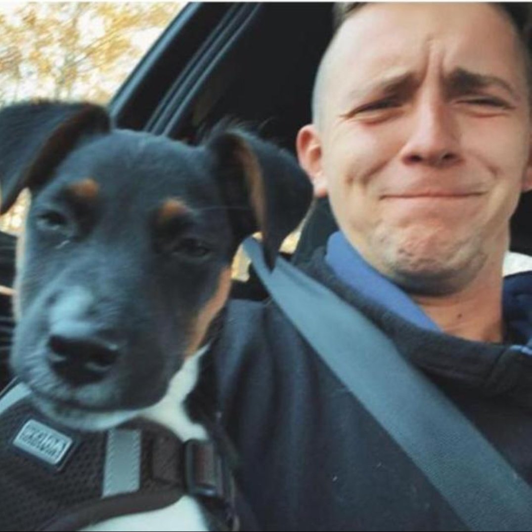 Paul Henschel (@henschel_p41528) on Twitter photo 