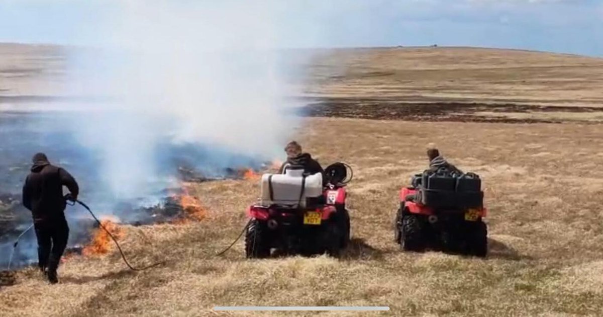 Dartmoor National Park (@dartmoornpa) on Twitter photo Update: the wildfire on Dartmoor has now been extinguished. Thanks to the Dartmoor Commoners and <a href="/DSFireUpdates/">Devon and Somerset Fire and Rescue Service</a> who battled the blaze.
Please continue to take care and don't light BBQs or fires on the moor. Update: the wildfire on Dartmoor has now been extinguished. Thanks to the Dartmoor Commoners and <a href="/DSFireUpdates/">Devon and Somerset Fire and Rescue Service</a> who battled the blaze.
Please continue to take care and don't light BBQs or fires on the moor.
