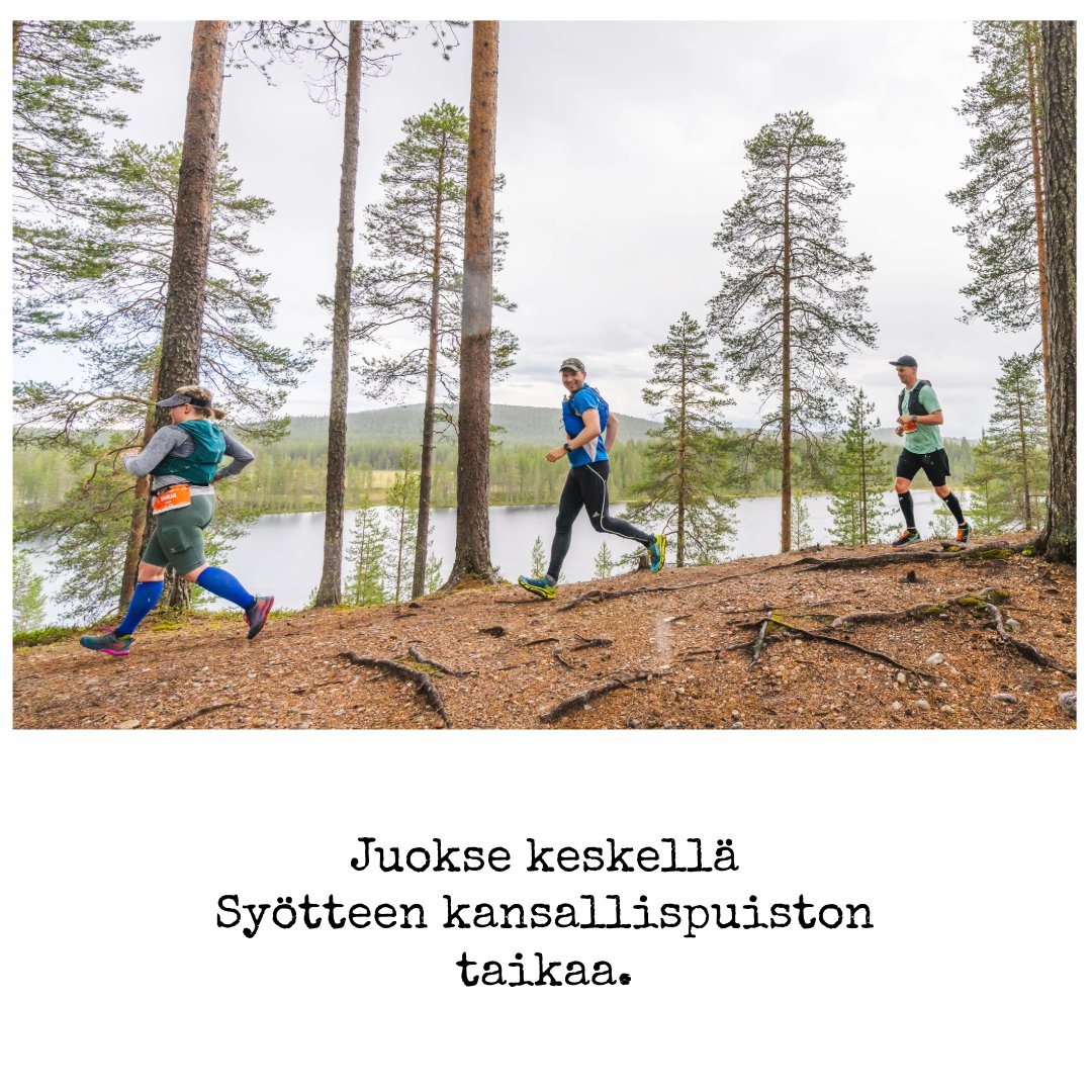 nutsfi's tweet image. Hintaporras nousee 12.5.! ⏰
NUTS Syötteellä juostaan 13.–14.6.2025:
🏃‍♀️ Pe 10 km + Kids &amp;amp; Juniors
🏔️ La 25 km &amp;amp; 40 km
Sateenkaaren päässä odottaa Syötteen aarre – polku luonnon sydämeen. 🌈
👉 nutssyote.fi/fi/