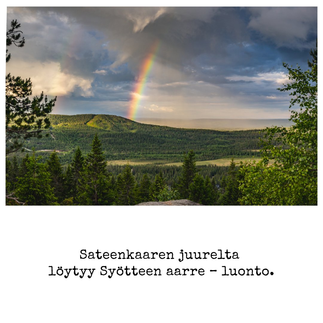 nutsfi's tweet image. Hintaporras nousee 12.5.! ⏰
NUTS Syötteellä juostaan 13.–14.6.2025:
🏃‍♀️ Pe 10 km + Kids &amp;amp; Juniors
🏔️ La 25 km &amp;amp; 40 km
Sateenkaaren päässä odottaa Syötteen aarre – polku luonnon sydämeen. 🌈
👉 nutssyote.fi/fi/