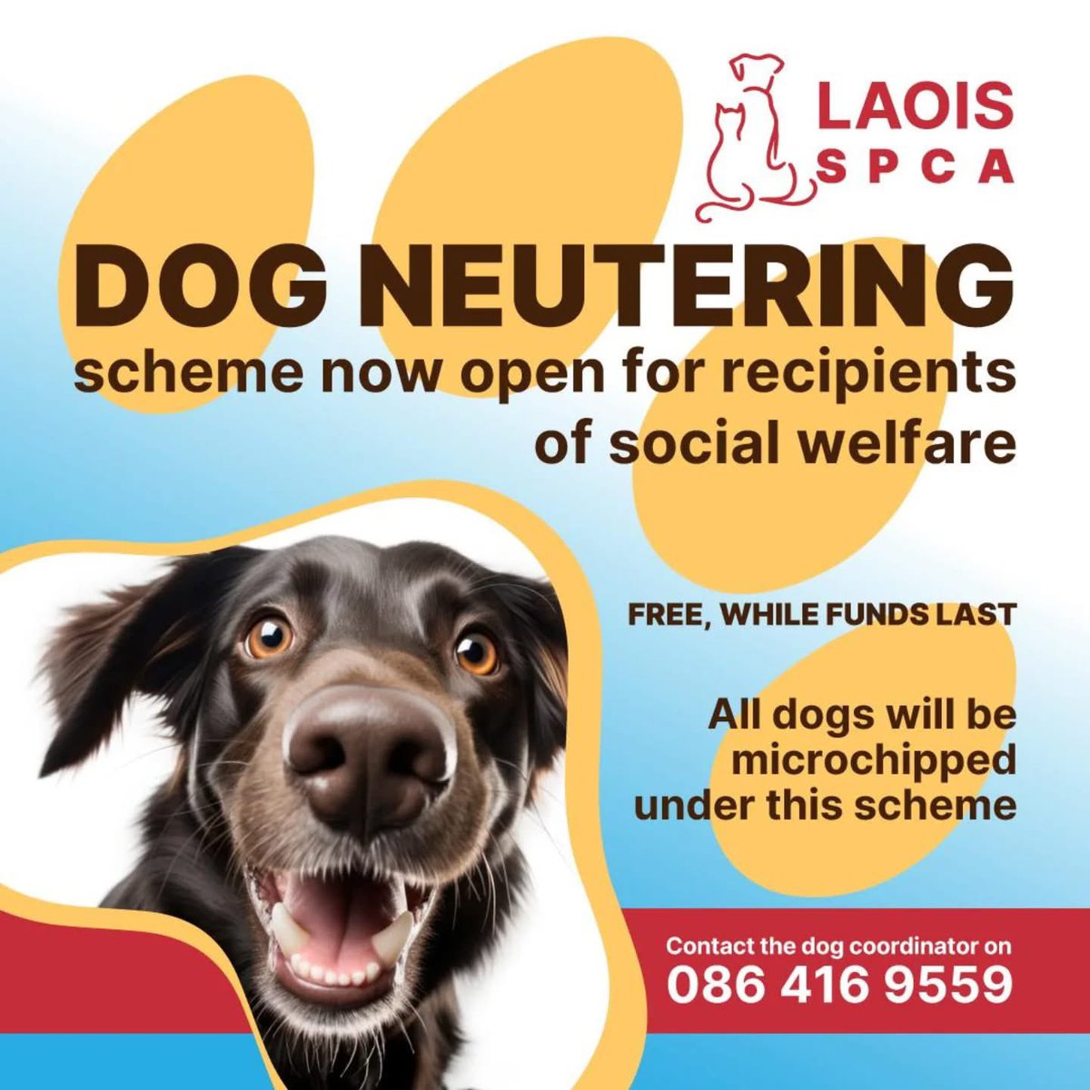 **DOG NEUTERING** 

Available while funds last! Please call us at (086) 4169559 if you would like to avail of our offer. 

The scheme is open to social welfare recipients.