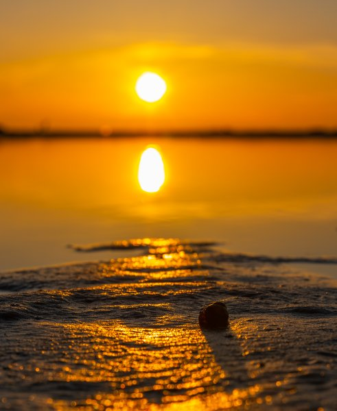 “Nature’s way of saying ‘goodnight’ in style.” 🌙🧡