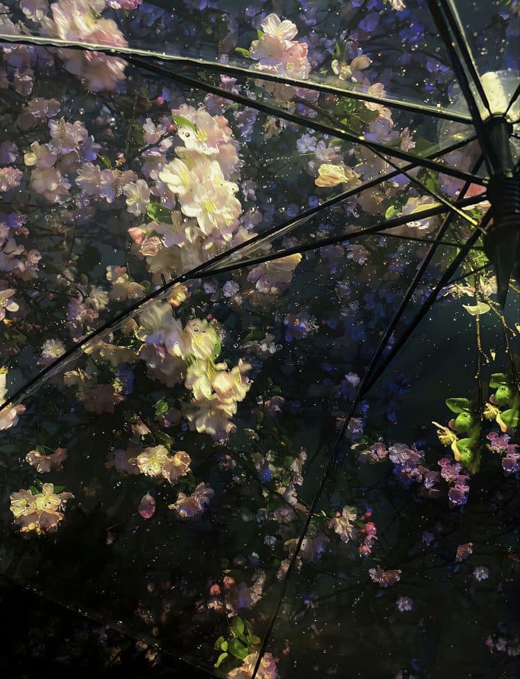 𓆩♡𓆪 tweet media