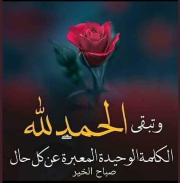 #حقيقه
نتواصل مع أشخآص لا نعرف عنهم شيئاً سوى تغريداتهم اليوميه
مع الأيآم يصبح لهم مكآنة في قلوبنا

مع ارقى أمنيآتي لهم بـ الخير و السعآدة الدائمه🌺.   ♡
#حنان~#Q7ggg