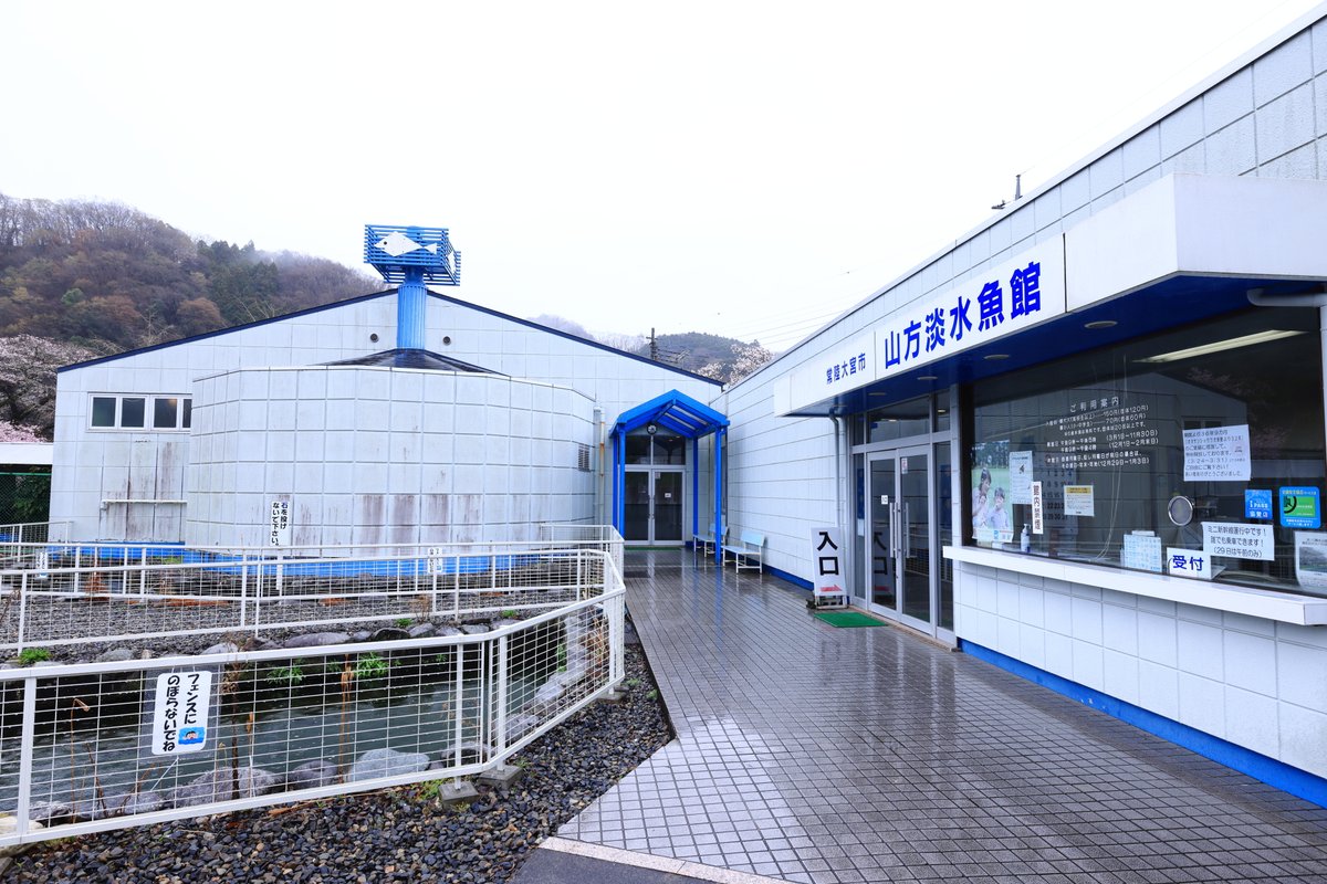 welcomeMoonside's tweet photo. #山方淡水魚館 #水族館 https://t.co/i3JZGCxiHf