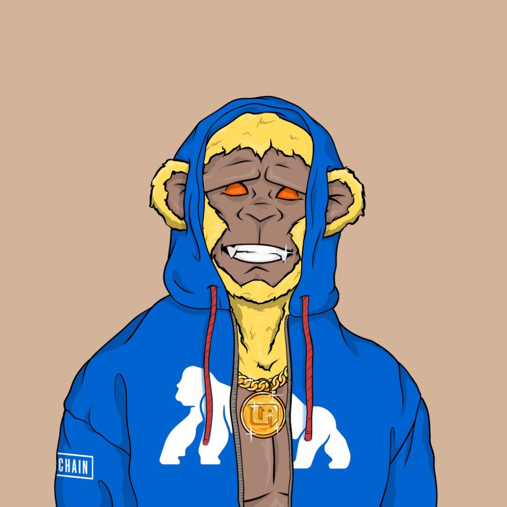 J-Rza 🦍 tweet media