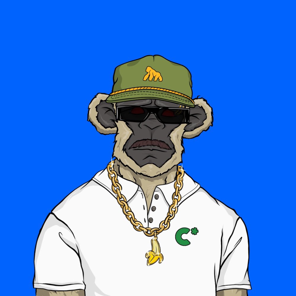 J-Rza 🦍 tweet media