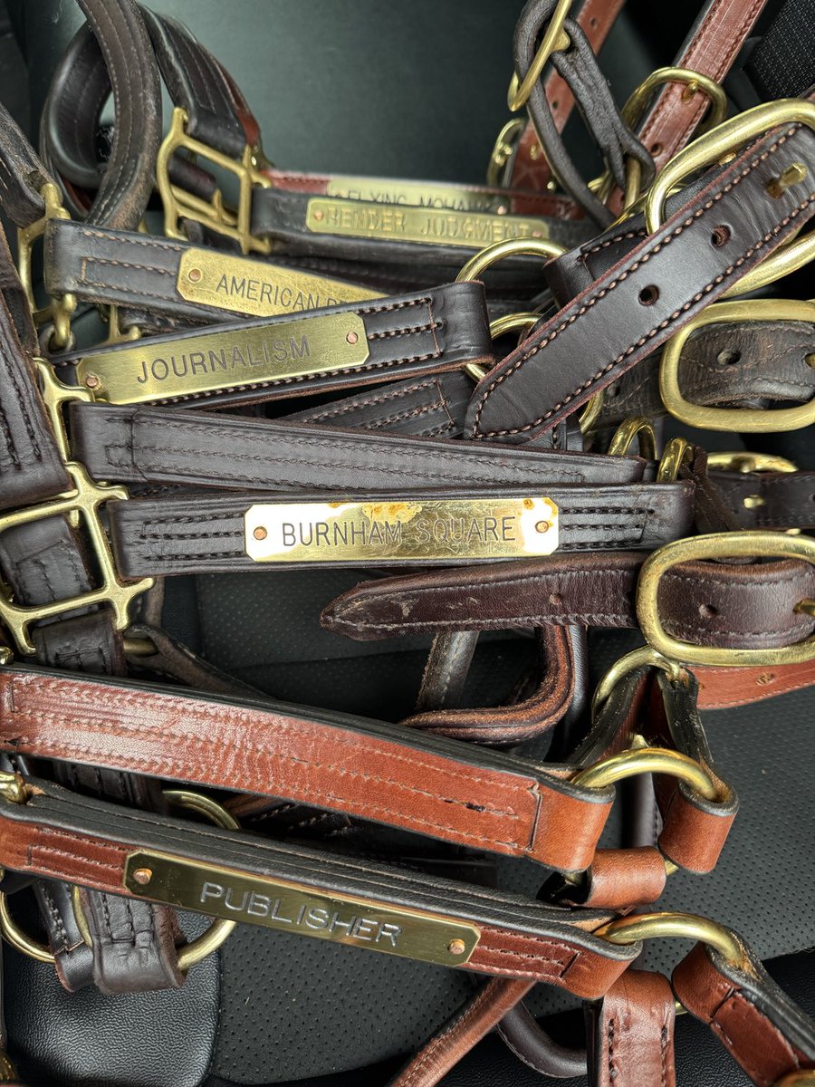 MikeMcMahon___'s tweet image. @TBCharities halters donated by #KYDerby trainers and owners & sold in our #bidonthebluegrass auction. Thank you to all Derby trainers & owners 100% participation @ChurchillDowns @BloodHorse