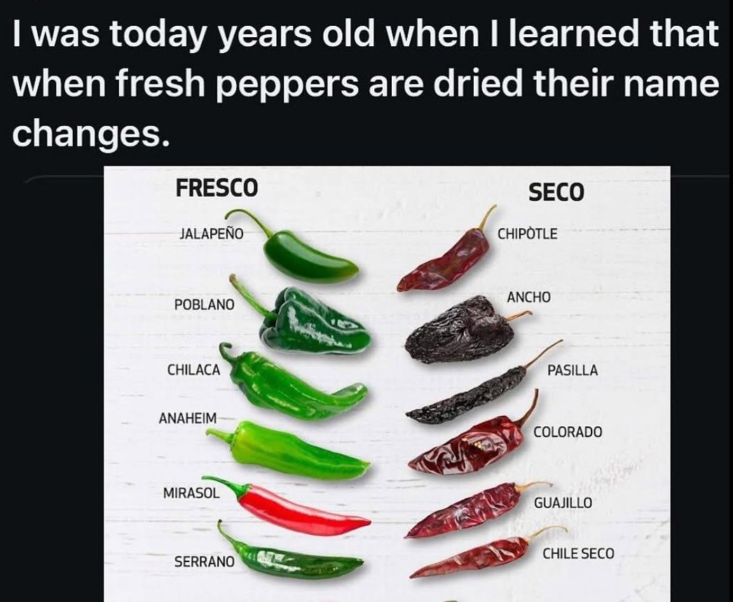 Edin Kapić / Един Капић 🦋 @edinkapic.com (@ekapic) on Twitter photo TIL that the fresh and dried peppers are called differently. TIL that the fresh and dried peppers are called differently.