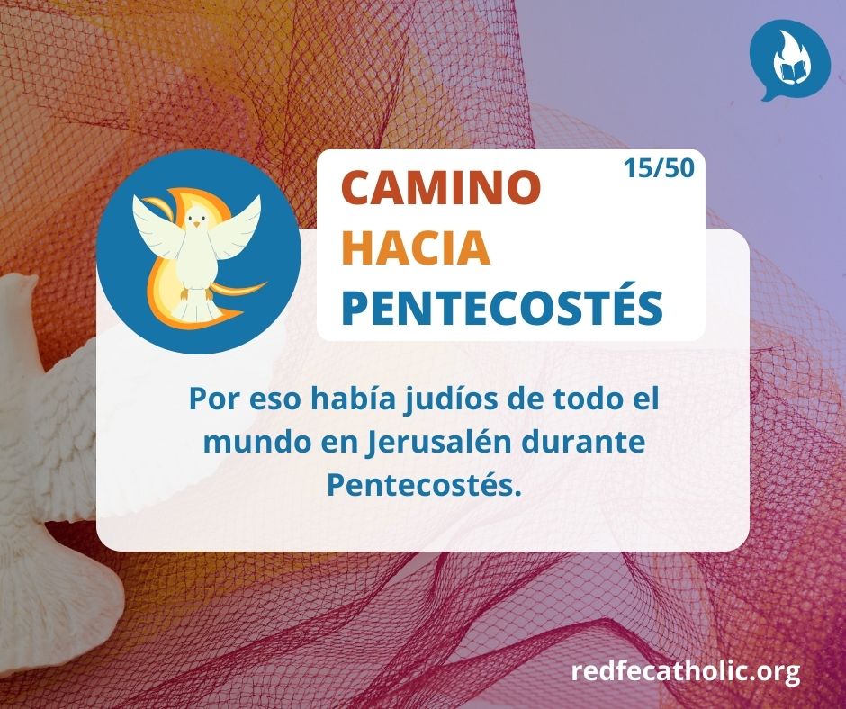 redfecatholic's tweet photo. Con el dato anterior cobra sentido porque Pedro convirtio a tantas personas en su primera predicación.
#caminohaciapentecostés 
#redfecatholic https://t.co/5y5kePBAAE