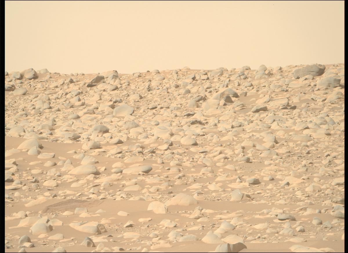 MarsMissionImgs's tweet photo. #PerseveranceRover image taken on #Sol889 at 2:21:14.042 PM with #MastcamZ #Mars #NASA #Space https://t.co/TUtxOR5nGa
