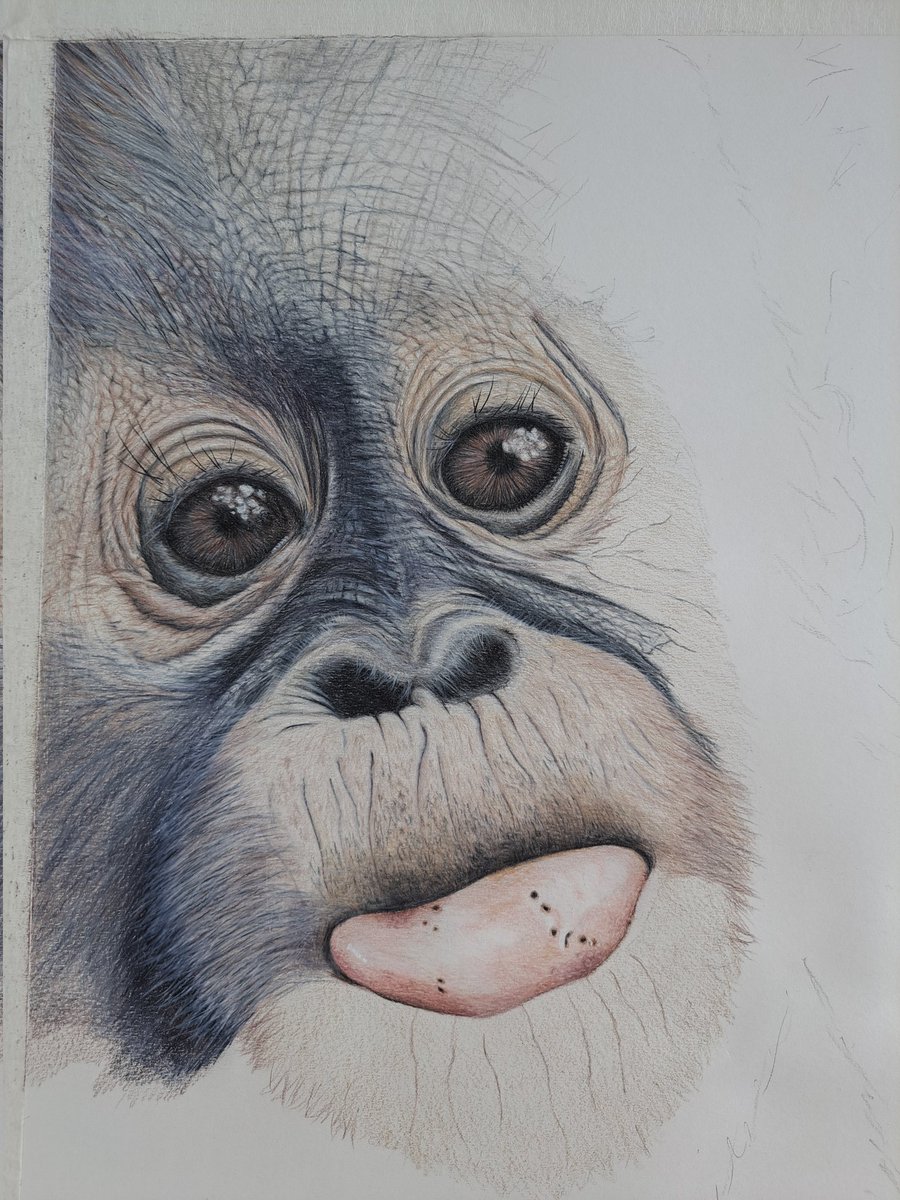 He has his tongue 👅