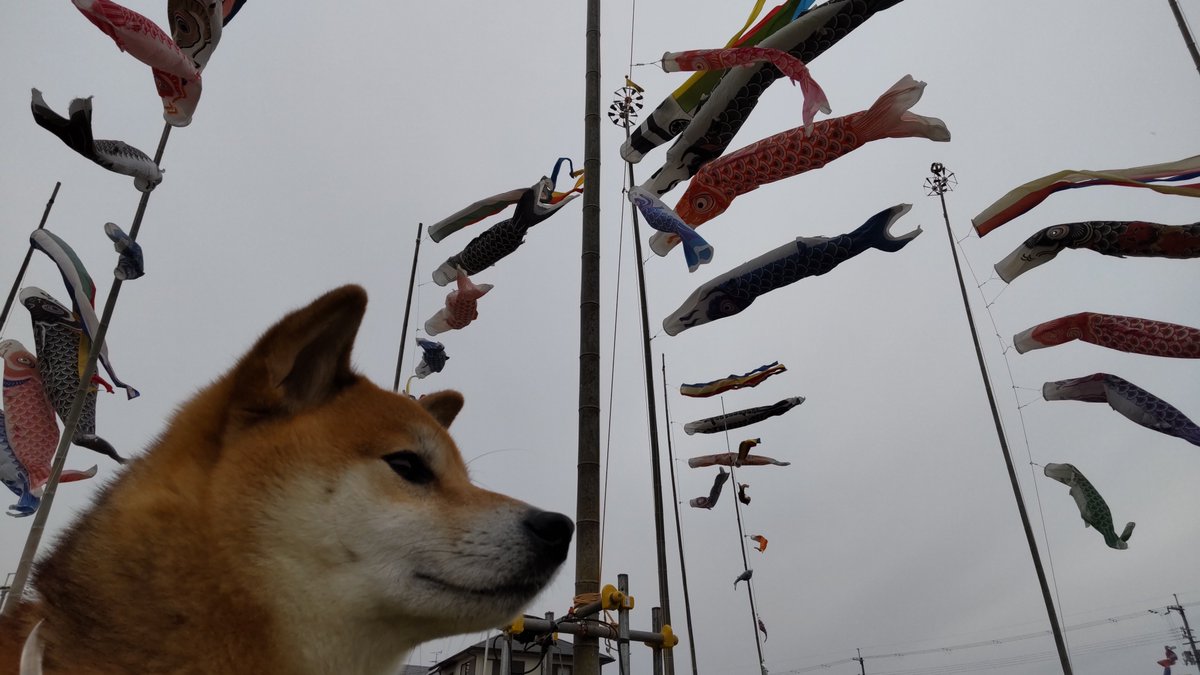 モクちか (@mocmog315) / Posts / X