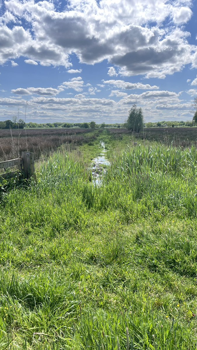 NONPAINTSTORE tweet media