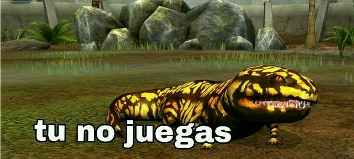 IRK (@irkunited) on Twitter photo 