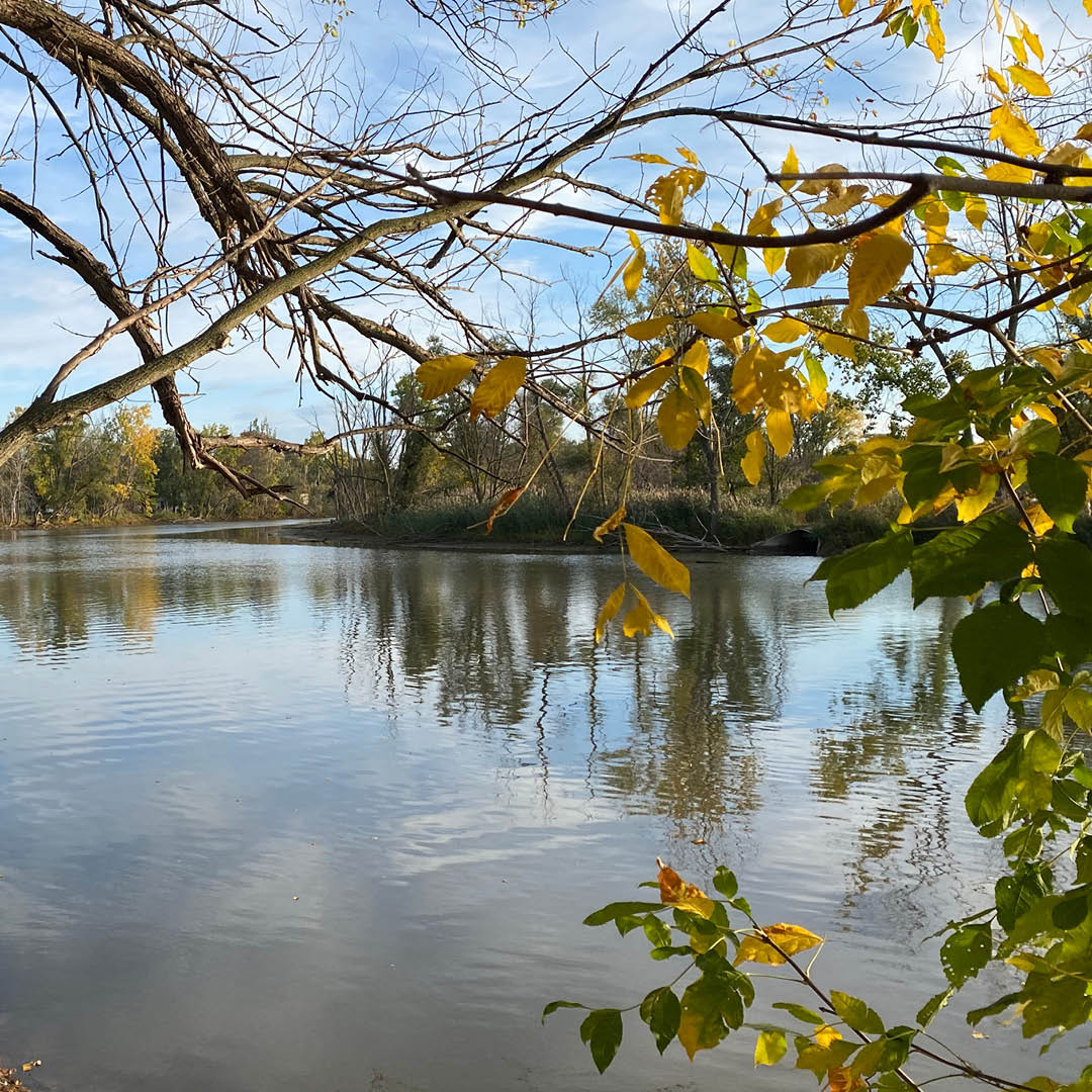 The #GreatLakes shape more than shorelines—they shape communities.

On #GreatLakesAwarenessDay2025, we're spotlighting how Lake Michigan’s rising waters are reshaping Wisconsin’s East River—and how communities are responding.

Explore more: brnw.ch/21wSpZ4