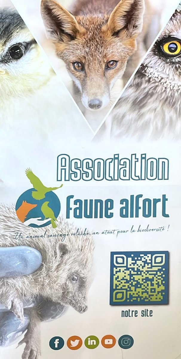 Association chats du bois de Vincennes et alentour (@collectif_bois) on Twitter photo BLA BLA CAT
Parce que pour nous tous les animaux comptent, hier matin nous avons récupérés ce pigeon ramier blessé suite aux grêlons du samedi à @VincenneVille. Nous l’avons apporté à <a href="/FauneAlfort/">Faune Alfort</a>. Merci à cette jeune bénévole.
<a href="/onevoiceanimal/">One Voice</a> <a href="/SavoirAnimal07/">Savoir Animal, Le Magazine des Animaux</a> <a href="/FIFI728657/">FIFI728657.bsky.social</a> BLA BLA CAT
Parce que pour nous tous les animaux comptent, hier matin nous avons récupérés ce pigeon ramier blessé suite aux grêlons du samedi à @VincenneVille. Nous l’avons apporté à <a href="/FauneAlfort/">Faune Alfort</a>. Merci à cette jeune bénévole.
<a href="/onevoiceanimal/">One Voice</a> <a href="/SavoirAnimal07/">Savoir Animal, Le Magazine des Animaux</a> <a href="/FIFI728657/">FIFI728657.bsky.social</a>