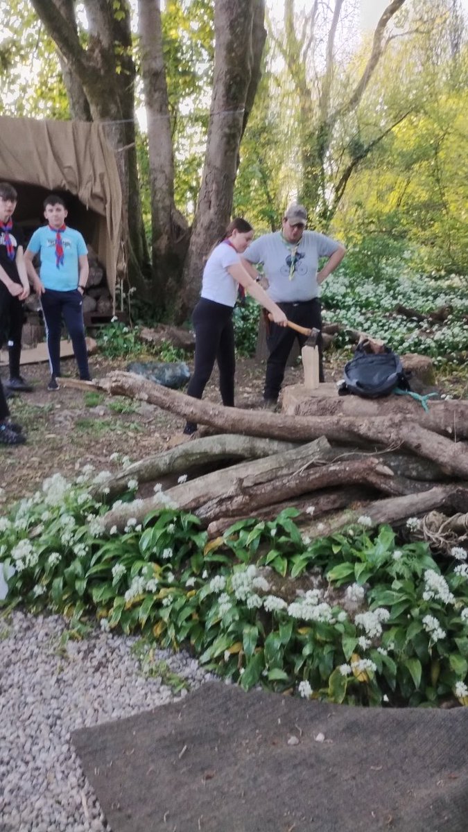 17th Barrow Scouts tweet media