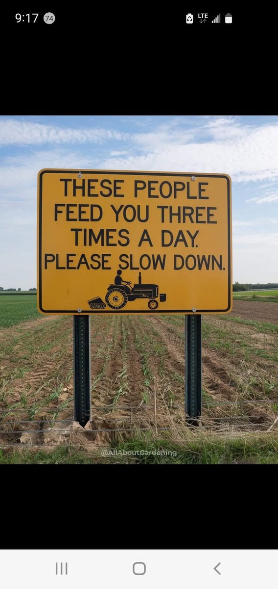 BradLam74471068's tweet image. Just sayin