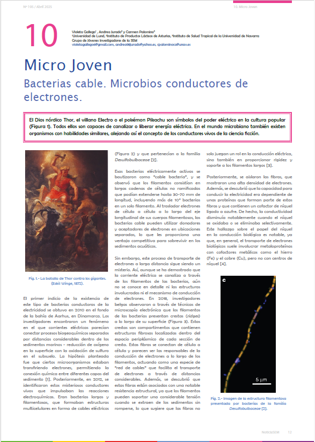 JISEM_SEM's tweet photo. ¿Ha pasado el apagón y todavía no has leído el apartado MicroJoven de la última entrega de #NoticiasSEM ?

No solo Thor domina la electricidad ¡También las bacterias cable! Pero, ¿cómo es posible?

No puedes perderte este chispeante e interesante artículo.

@SEMicrobiologia https://t.co/tsPe3LqMnb