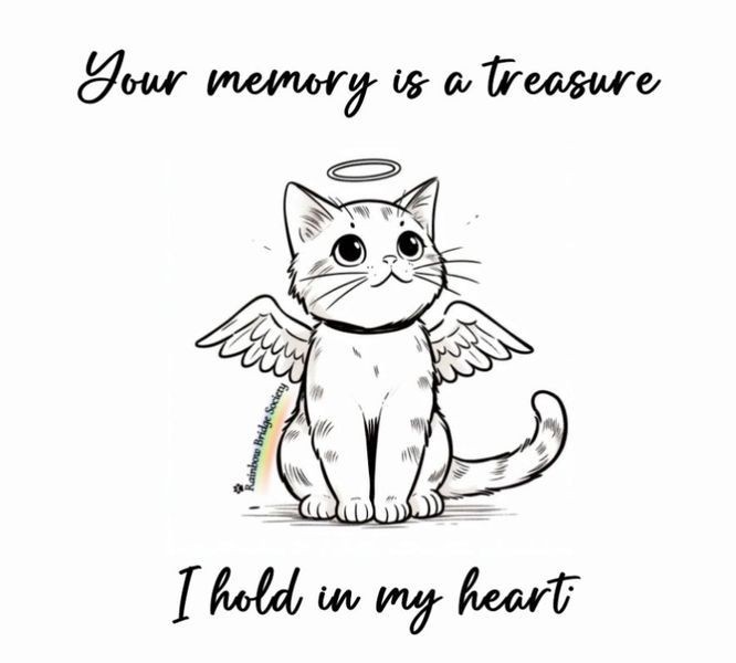Gijs๐โโฌ & Saartje๐โโฌ en Antwan๐๐ผโโ๏ธ (@amaijen) on Twitter photo #CandleForAlfie
<a href="/PoppyAndMolly2/">Alfie ๐ and Poppy ๐</a>
Dear Alfie, we are very sad to hear that you have crossed the ๐-bridge, after going missing on April 24th. Run free sweetie ๐ฟ๐
We wish your staff lots of strength with the grief and loss. You are in our thoughts ๐๐ผ๐ฏ๏ธโค๏ธ๐โโฌ๐พ๐ฅ๐๐ฆ๐๐ค #CandleForAlfie
<a href="/PoppyAndMolly2/">Alfie ๐ and Poppy ๐</a>
Dear Alfie, we are very sad to hear that you have crossed the ๐-bridge, after going missing on April 24th. Run free sweetie ๐ฟ๐
We wish your staff lots of strength with the grief and loss. You are in our thoughts ๐๐ผ๐ฏ๏ธโค๏ธ๐โโฌ๐พ๐ฅ๐๐ฆ๐๐ค