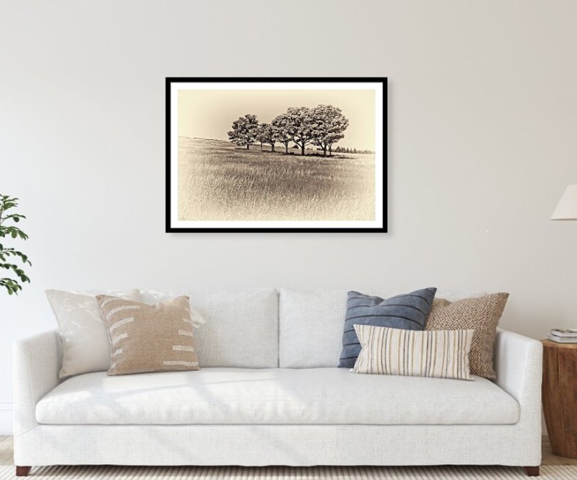 Tree-mendous! Check out this new framed print that I uploaded to pixels.com! pixels.com/featured/sepia… #vintage #landscapephotography #outdoors #farmhouse  #countrydecor #wallartforsale #buyintoart #ArtvsArtist2025 #vintagestyle #gardening
#homedecorideas