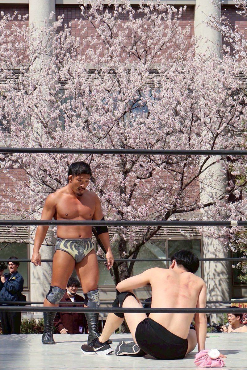 DWAprowrestling's tweet image. 我 Man"デッケー・ウンチ(DWA3)

彗星のごとく現れたDWAの救世主。前会長とは正反対のBIGな肉体である。その長身から繰り出される巻きグソはシルクロードより長く、そしてたくましい。

#DWA #RWF #学生プロレス