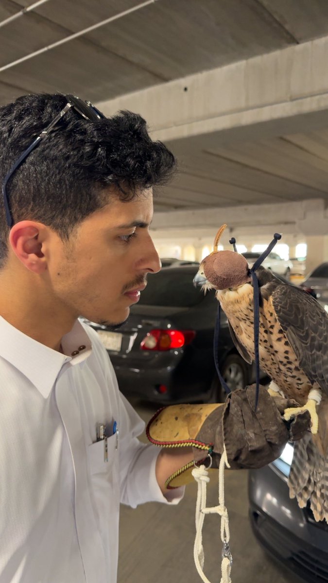 تعدد شخصيات لا نهائي