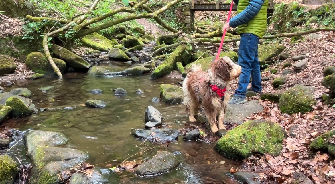 Lovely walk around Biddulph Grange Country park.