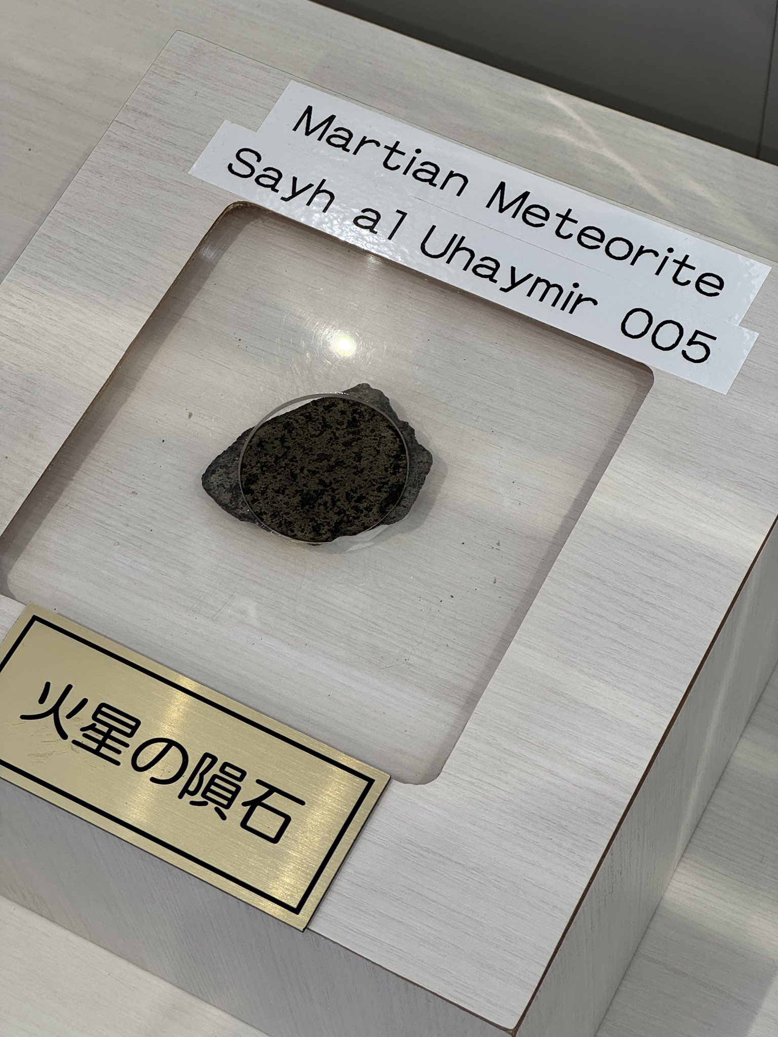 怪物大好きさん on X: 