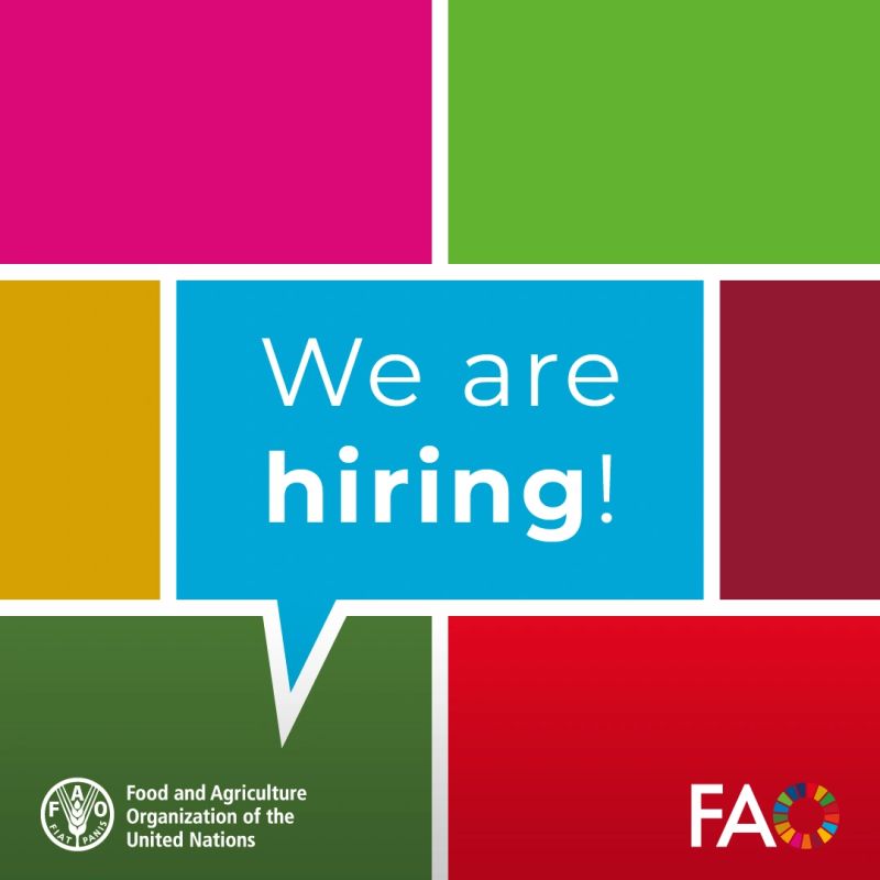 FAOSocioEcon's tweet photo. Are you an economist looking for new opportunities?

We are seeking an economist (Food Security Early Warning) to join our team!

Deadline: 21 May

Apply👇

https://t.co/SekjIBMUi4 https://t.co/6SiB3Gj8eE