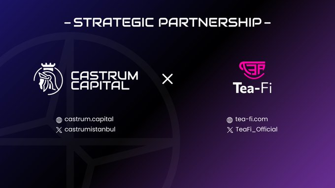 Polygon_Space1's tweet photo. ✨ @TeaFi_Official, a DeFi platform, joins forces with @castrumistanbul, a venture capital firm, to enhance the crypto experience. 

🤝 The collaboration aims to simplify DeFi by eliminating gas fees and chain-switching, while ensuring self-custody and privacy. 

🔥 #Castrum brings tokenomics expertise and global connections to support #TeaFi’s mission of seamless, user-friendly DeFi services.

🔽VISIT
https://t.co/ayodZ57AtT
