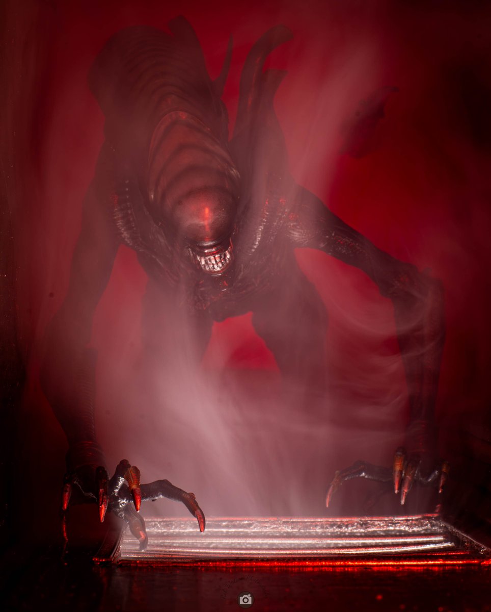 Rob Watson Photography (@robkwatson) on Twitter photo The NECA Scorched Xenomorph from Alien: Romulus.
50mm
1.3 sec
f/16
ISO100
Nikon D5600
#NECA #XENOMORPH #Alien #Aliens #Romulus #ToyPhotography
<a href="/Alien_Theory/">Alien Theory</a> <a href="/avpgalaxy/">Alien vs. Predator Galaxy</a> <a href="/NECA_TOYS/">NECA</a> The NECA Scorched Xenomorph from Alien: Romulus.
50mm
1.3 sec
f/16
ISO100
Nikon D5600
#NECA #XENOMORPH #Alien #Aliens #Romulus #ToyPhotography
<a href="/Alien_Theory/">Alien Theory</a> <a href="/avpgalaxy/">Alien vs. Predator Galaxy</a> <a href="/NECA_TOYS/">NECA</a>